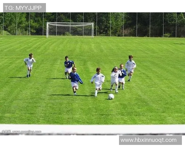 足球明星风采全景展示图解读与生涯成就分析